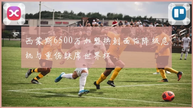 西蒙斯6500万加盟热刺面临降级危机与重伤缺席世界杯